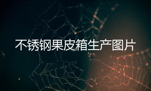 不锈钢果图片皮箱生产